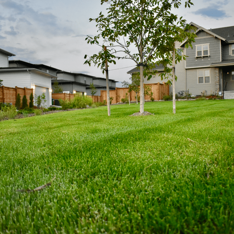 Trust Hall Contracting with your landscape management needs in Colorado—where quality and customer satisfaction come first.