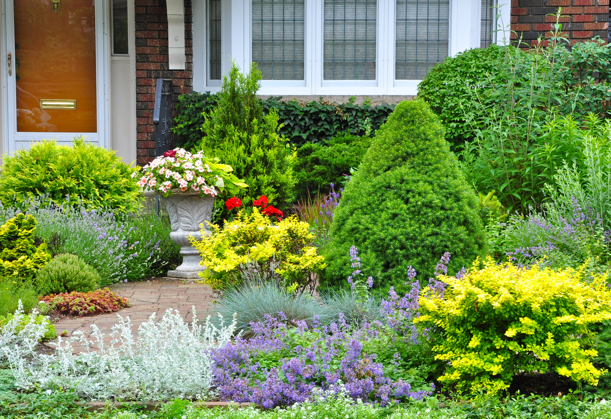 Seasonal garden preparation and planting services by Hall Landscape Contractors.