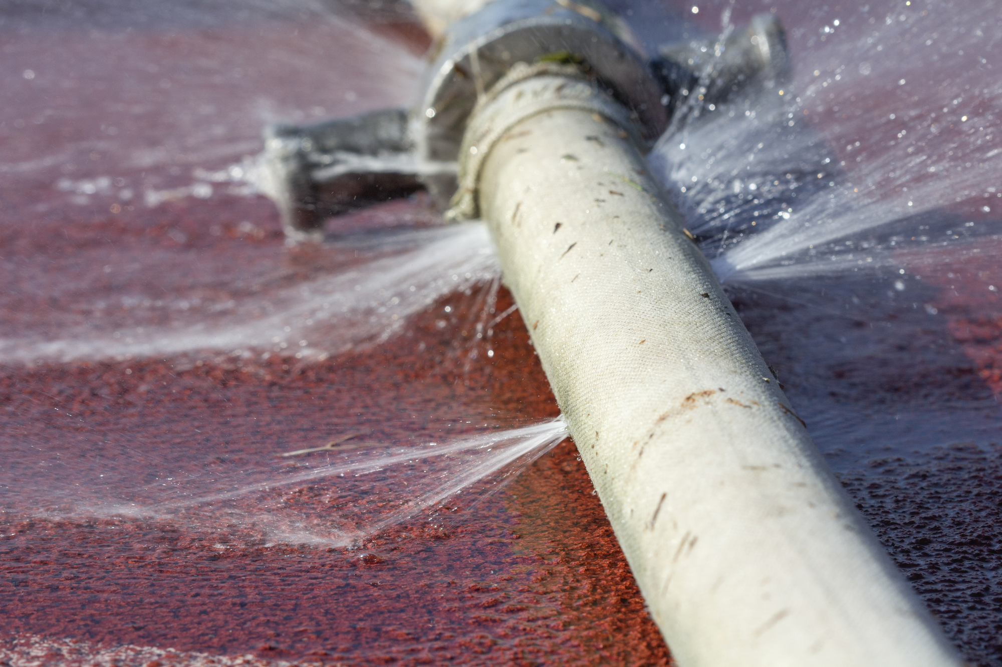 What Happens If Your Irrigation System Leaks?