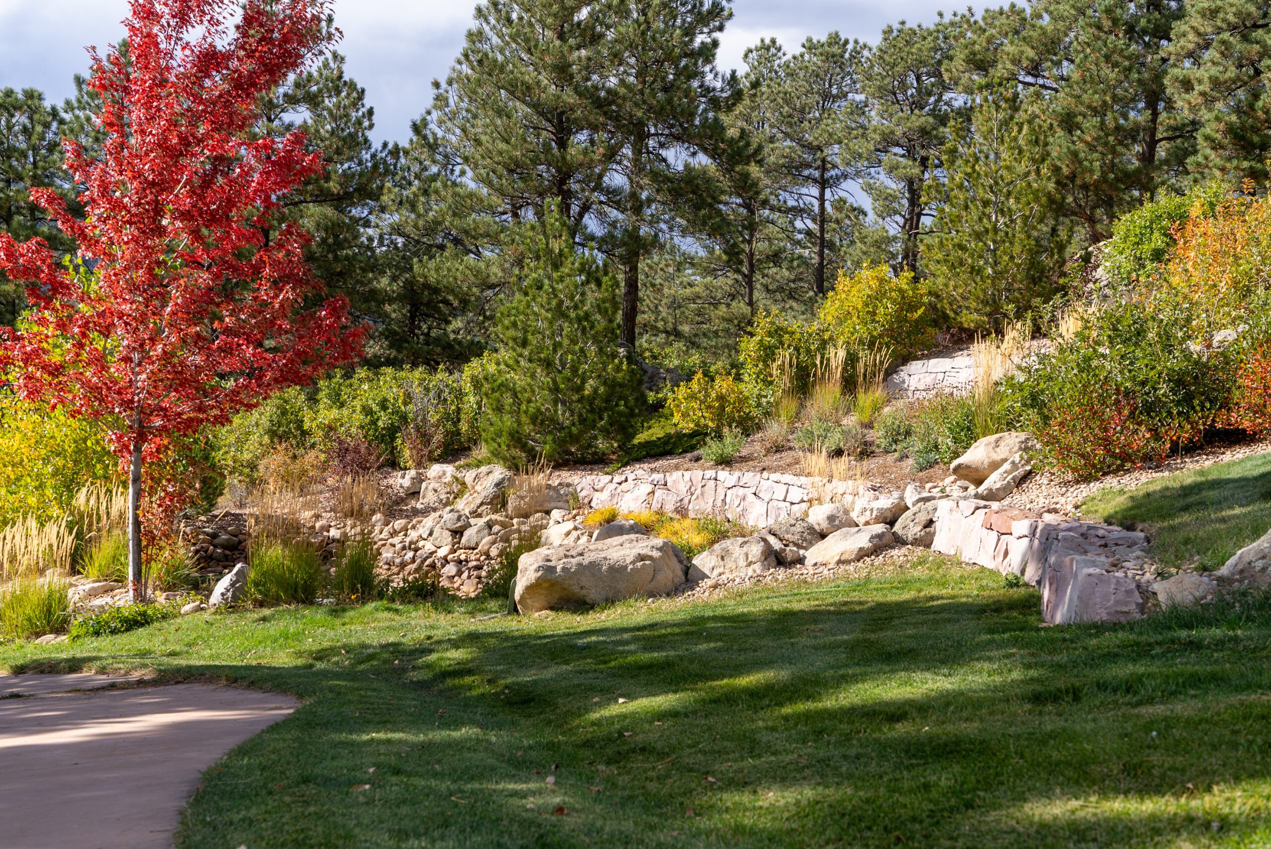Creative rock garden designs by Hall Landscape Contractors enhancing natural beauty.